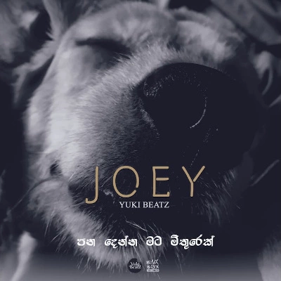 Joey mp3 song