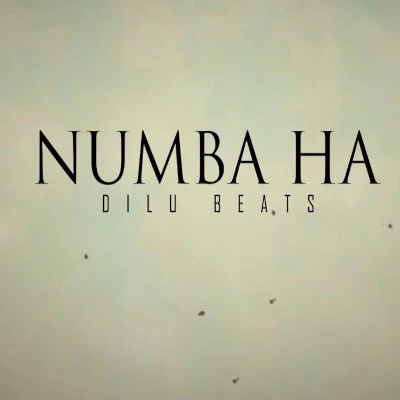 Numba Ha mp3 songNumba Ha lyrics and karaoke