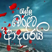 Ralla Weralata Adarei Teledrama Songs songs playlist